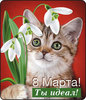 Виниловый магнит 8 марта! Ты идеал!