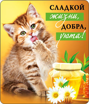Магнит виниловый Сладкой жизни...