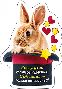 Магнит виниловый От жизни фокусов...