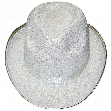 WB Шляпа серебрянная