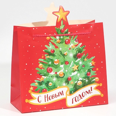 Пакет бум. СНГ МИКС 54*36*30см