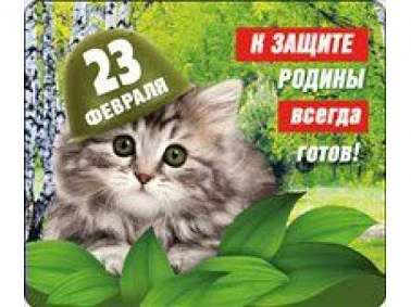 Магнит виниловый 23 февраля. К защите родины...